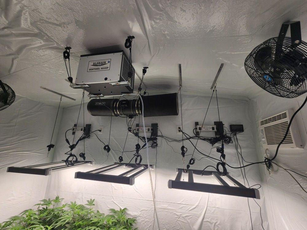 Spider Farmer Sf3000 2x2 LED Grow Light