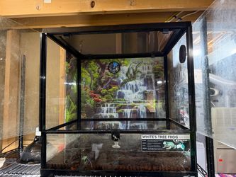 Reptile enclosure