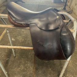 Beval Ltd English Saddle 16"