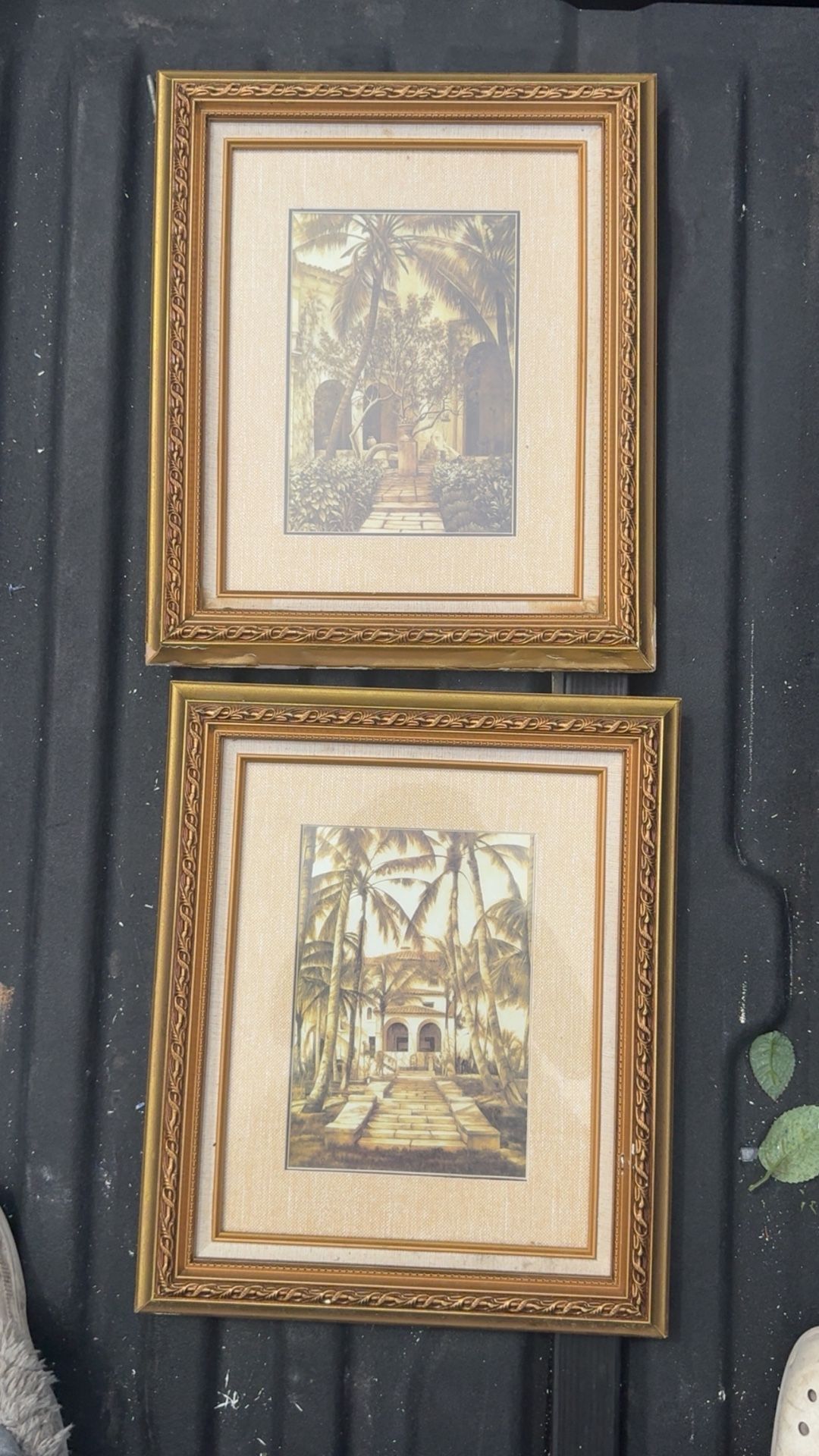 Photos