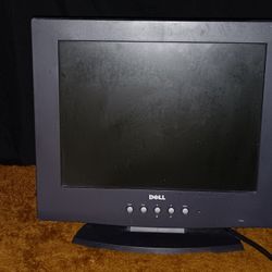 Dell Computer Monitor