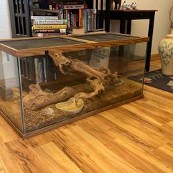 Reptile Terrarium 