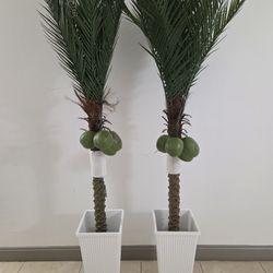 PAIR of 7ft Faux Coconut Palms In 24in White Square Resin Planters @ Lasting Creations 
