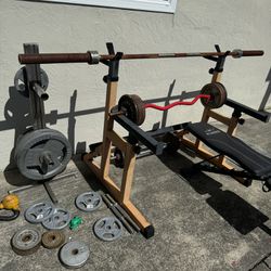 45 Pound Olympic Bar Weights And Weight Rack For Sale  