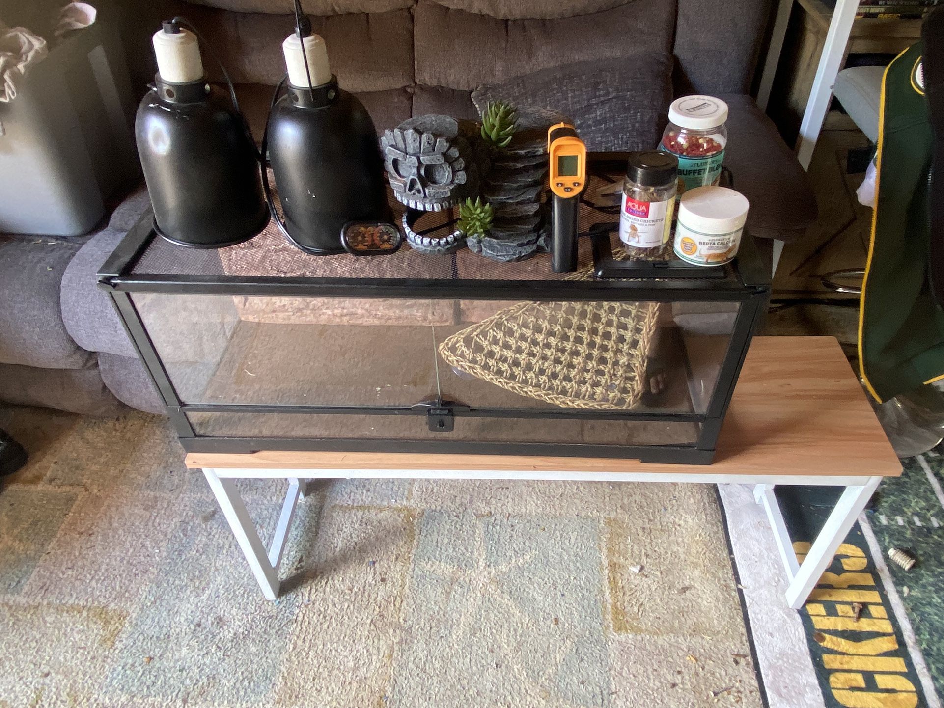 Bearded dragon tank