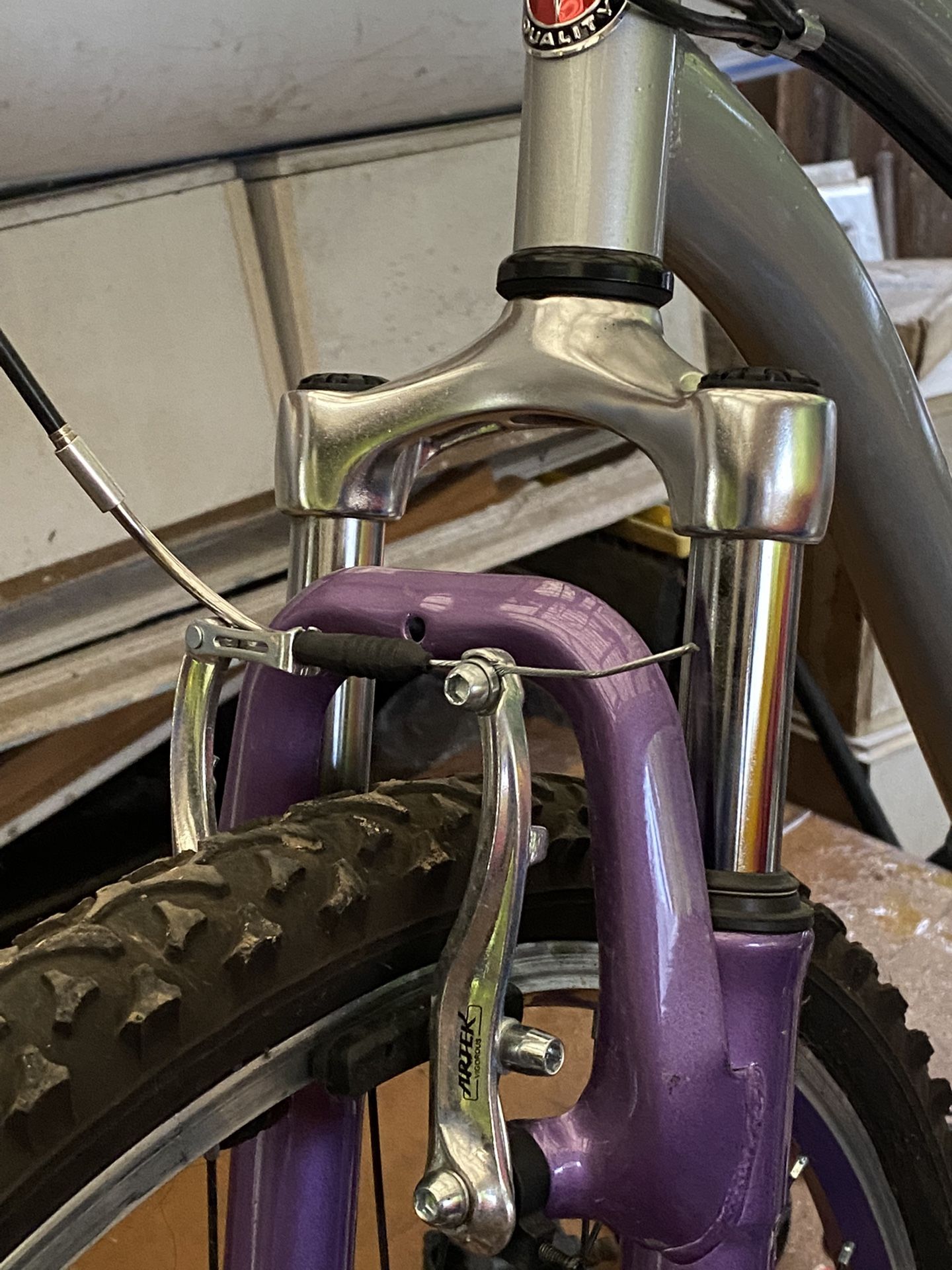 schwinn atlas 26 women's
