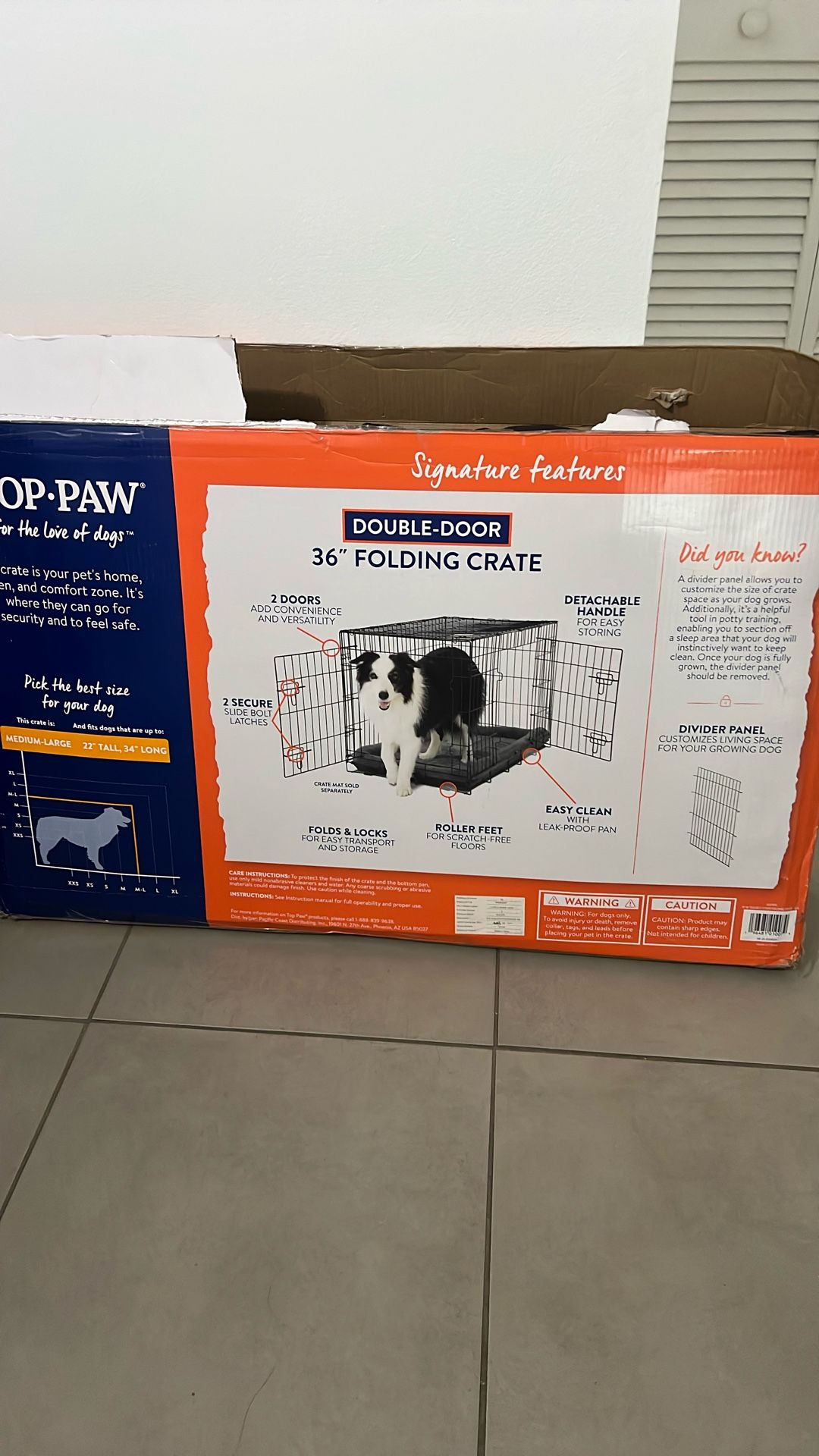 Top- Paw