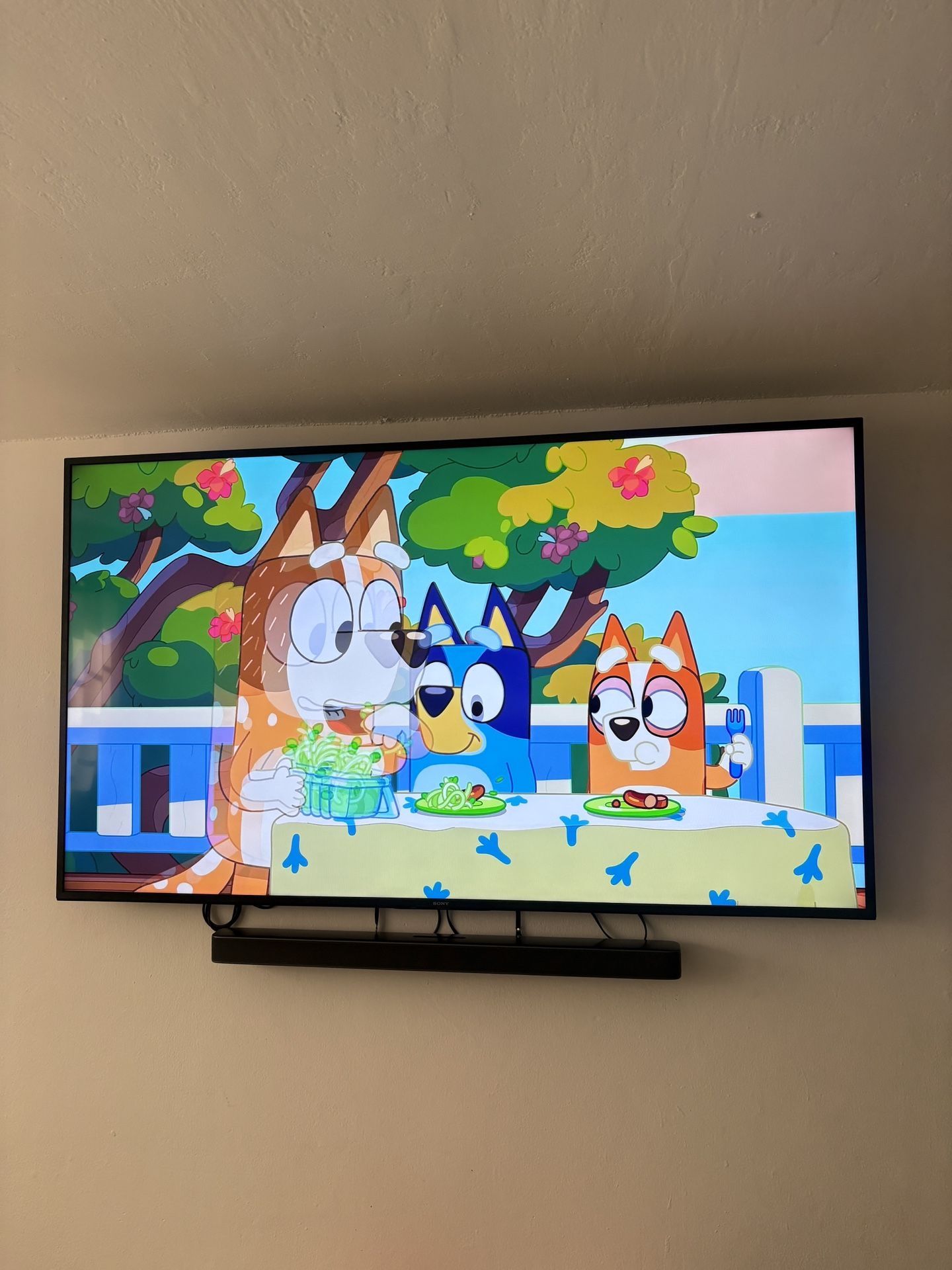 Sony Tv + JBL Soundbar And Subwoofer