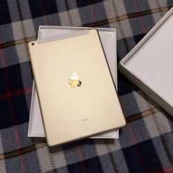 Apple iPad 9.7in (WiFi + cellular)