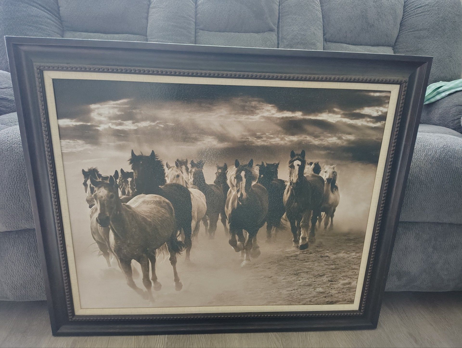 Horse picture