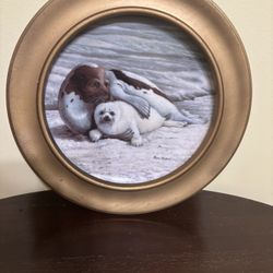 Wonders of the Sea Warm Embrace Bradford Exchange Plate Wall Decor Seal Marine