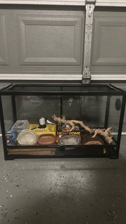 Reptile Tank Set