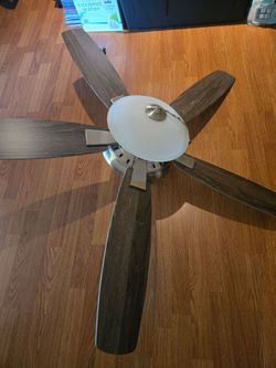 Ceiling fan
