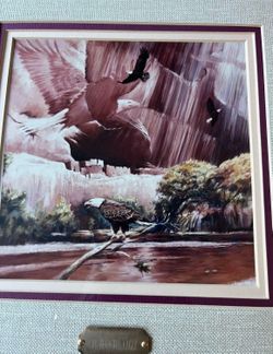Like New Vintage 1991 Original Signature  “Spirit of the Eagle “ By Budd Rainbow Hands  SALE  $265 🍀