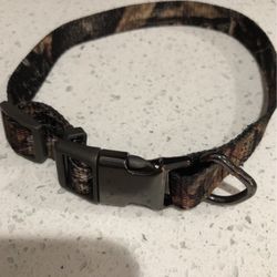 Dog Collar 