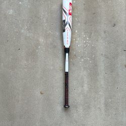 Easton Ghost 31in -10oz USSSA Bat