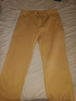 NEW Men's Dickies work pants