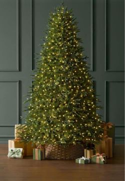 7.5 Ft. Breckenridge Twinkling Adaptive Lighting Downswept Fraser Fir LED Pre-Lit Christmas Tree T29