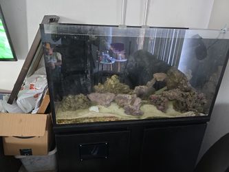 65 Gallon Saltwater Fish Tank Thick Glass.