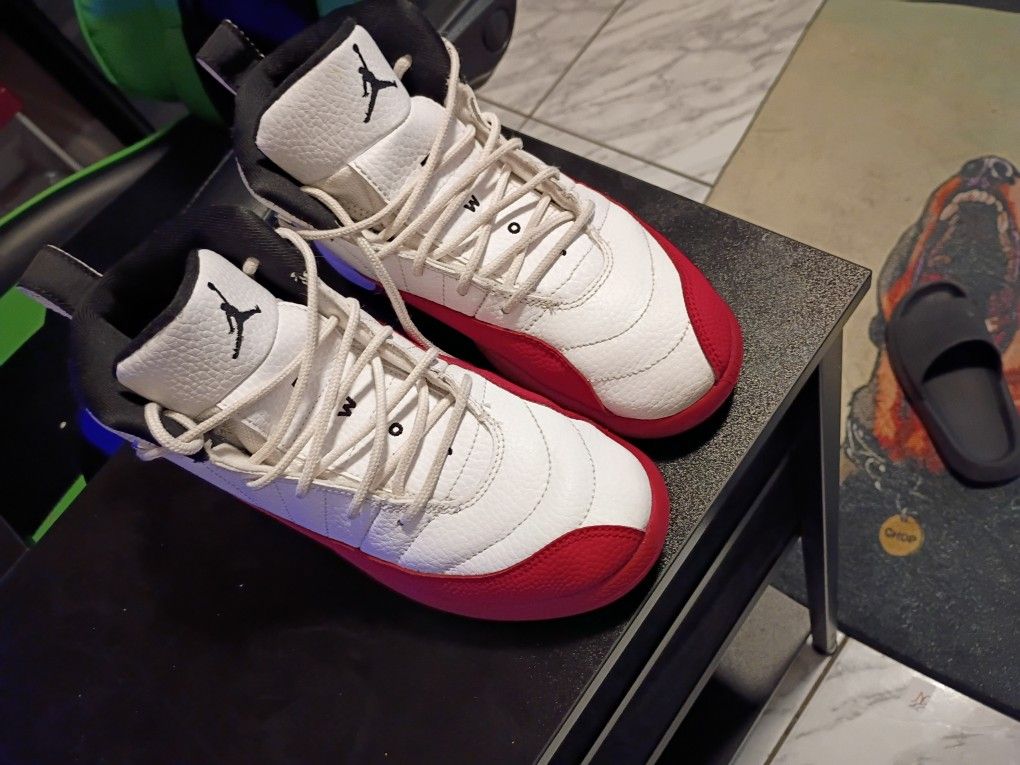 Jordan 12