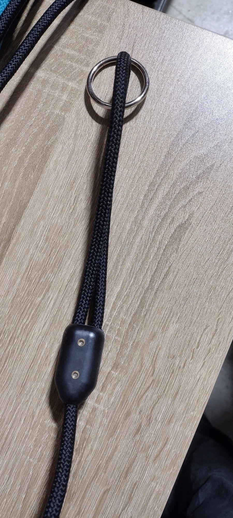 Dog Leash