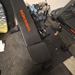 Treadmill, Weights, and Weight bench