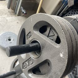 Olympic Plates With Rack 