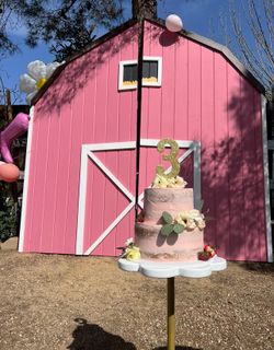 Pink Barn 8x8 Cowgirl Prop