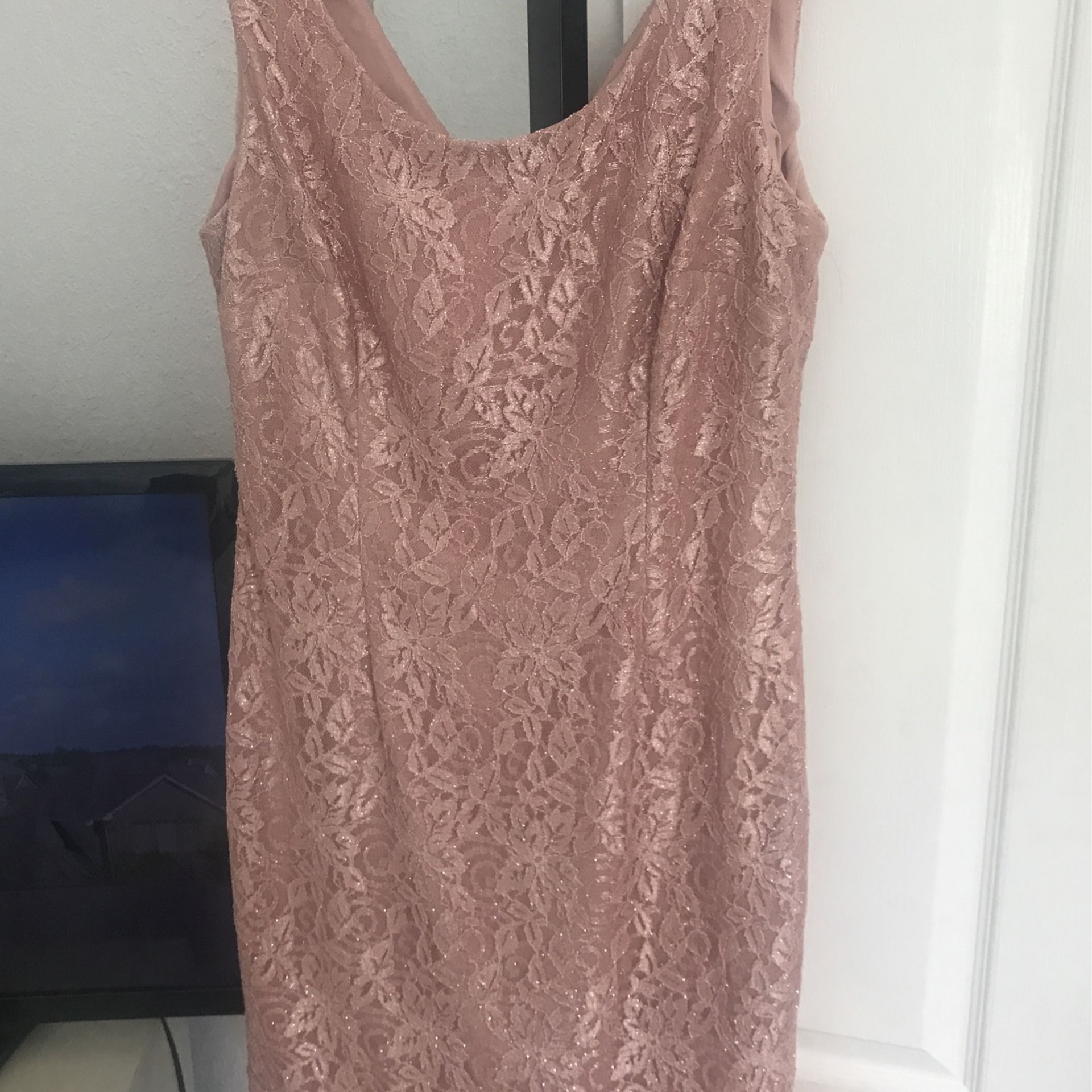 Silver And Blush Short Dress For Sale Size 12 Used One Time Excellent Condition