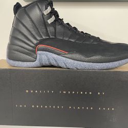 Jordan 12-utility