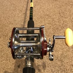 Vintage Penn peer#209 & Shakespeare sturdy stick combo