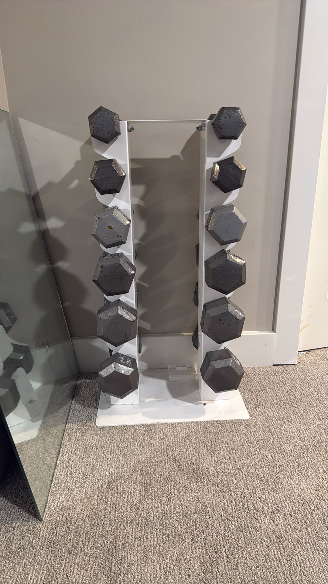 Dumb bells With Stand