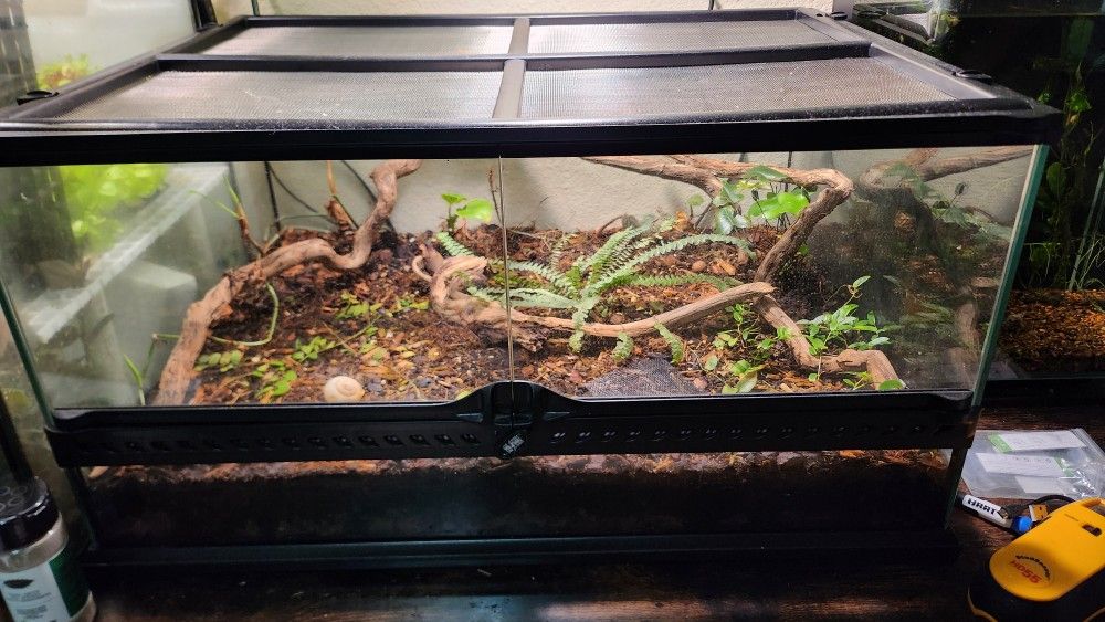 Exoterra Terrarium