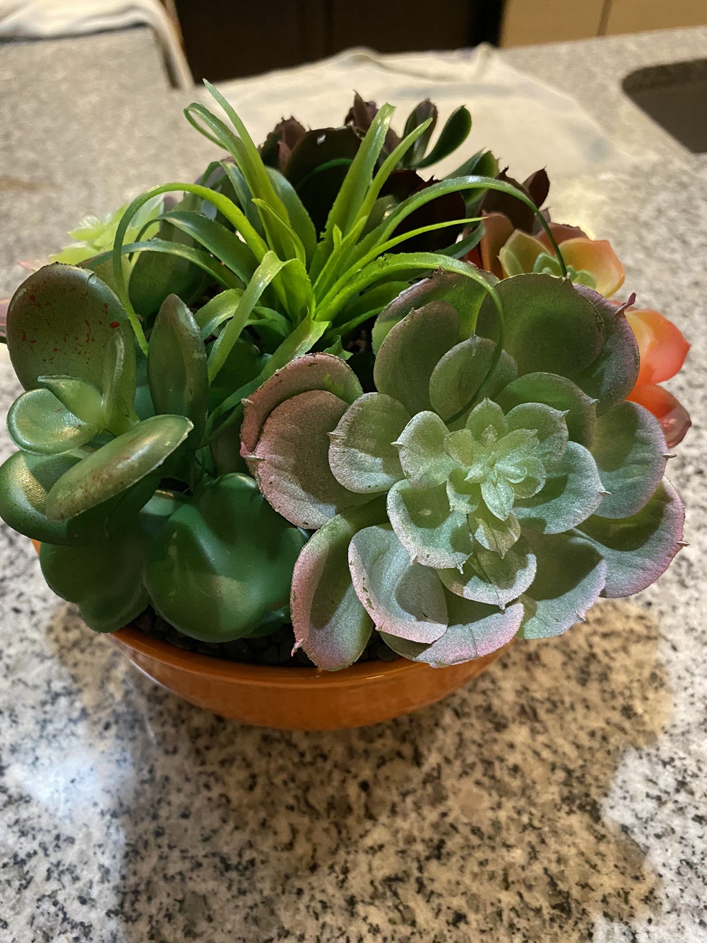 Faux Succulents On A Ceramic Bowl Decor