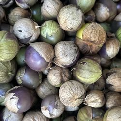 fresh/fresco TOMATILLOS 
