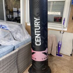 Century Punching Bag 