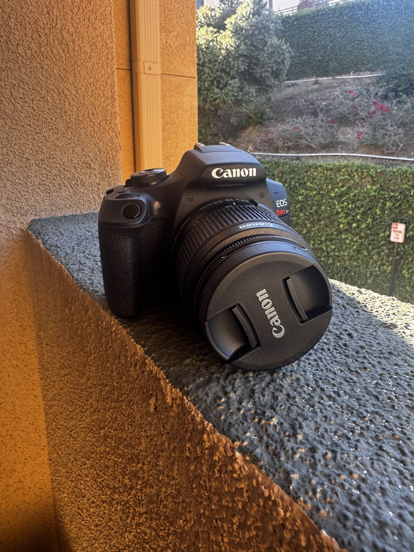 Canon EOS Rebel T7 With Stock Lense