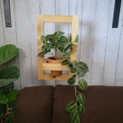 Handmade Hanging And Table Top Planters