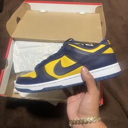 Nike Dunks Michigan 
