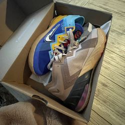 Nike LeBron 18 Low Wile E. vs Roadrunner Space Jam