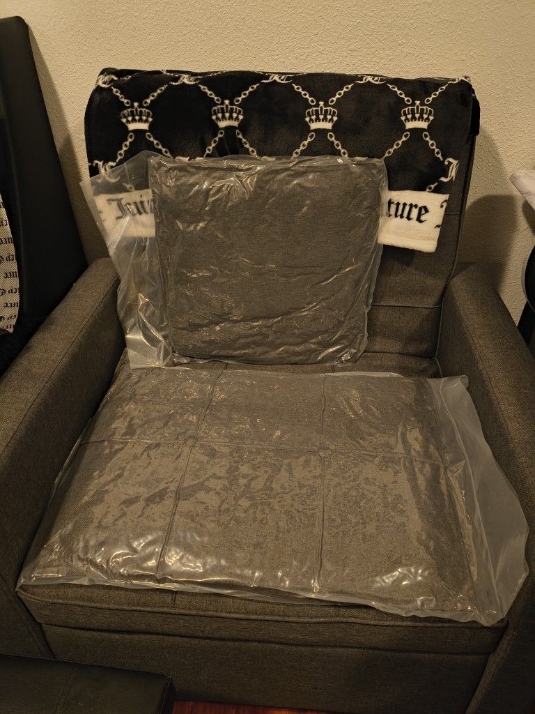 Couch Sofa Bed Pullout