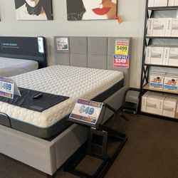Dog Ramps Available 