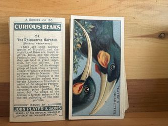 Curious beaks tobacco cards set