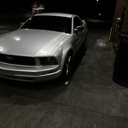 2005 Mustang 