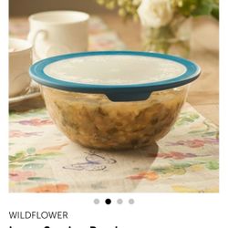 2 Large Serving Bowl 