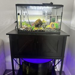 2 Fish Tanks, 5 Fish, And Tank Stand 