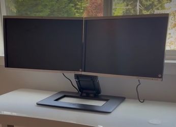 HP Dual Monitor