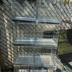 Breeding Bird Cages
