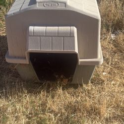 Dog House