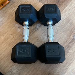 20 Pound Dumbbell Weights